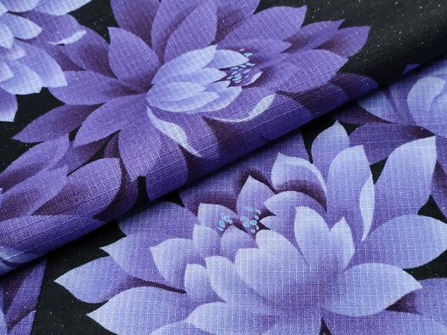 平和屋着物∴夏物 浴衣 綿紅梅 菊文 ラメ糸 黒地 綿 逸品 CABA0651ng