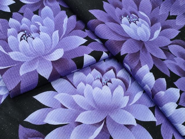 平和屋着物∴夏物 浴衣 綿紅梅 菊文 ラメ糸 黒地 綿 逸品 CABA0651ng
