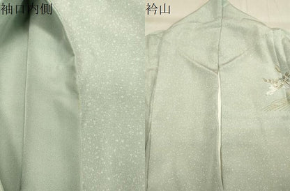 平和屋着物●訪問着　立波花鳥文　暈し染め　金彩　正絹　逸品　CABA1482gh