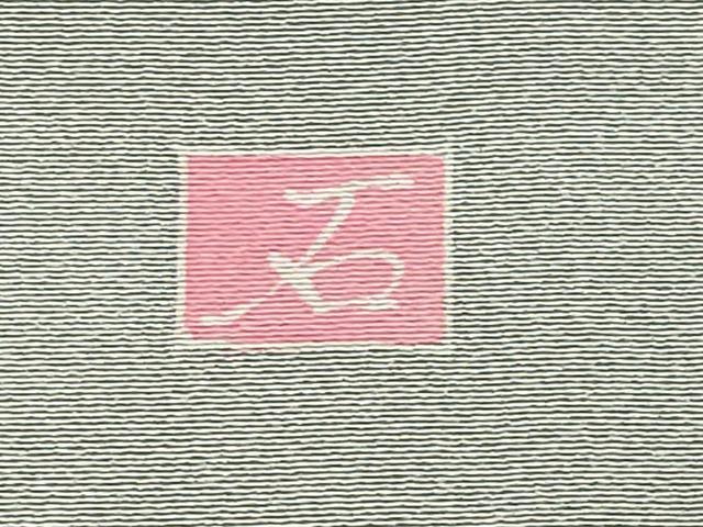平和屋着物●訪問着　友禅　作家物　枝花文　暈し染め　正絹　逸品　未使用　CABA1533gh