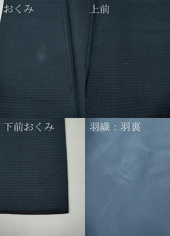 平和屋着物●男性 紬 アンサンブル 100亀甲 正絹 逸品 CABA1665ut