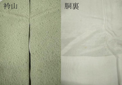 平和屋着物●上質な色無地　霞地紋　夏虫色　正絹　逸品　CABA1823ut