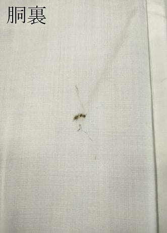 平和屋着物●本場大島紬 7マルキ 舞蝶花唐草文 正絹 逸品 CABA1861ut