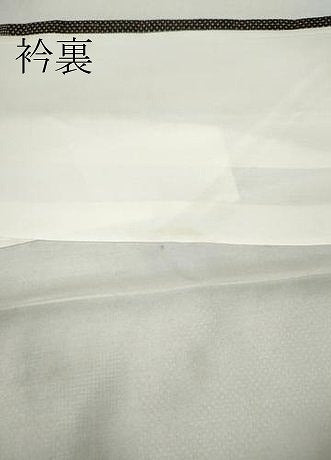 平和屋着物●本場大島紬　7マルキ　舞花文　正絹　逸品　CABA1871ut