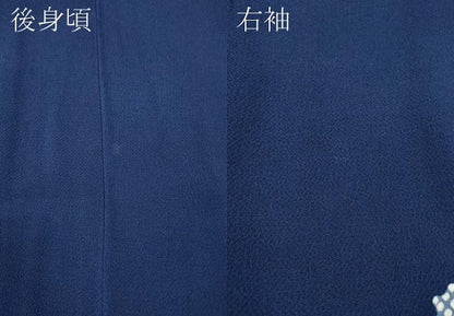 平和屋着物●訪問着 型染め 天井花文 鬼しぼ縮緬 正絹 逸品 CABA1888ut