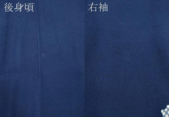 平和屋着物●訪問着 型染め 天井花文 鬼しぼ縮緬 正絹 逸品 CABA1888ut