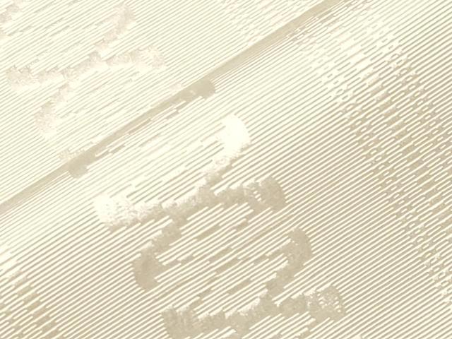 平和屋着物●本場筑前博多織 八寸名古屋帯 一重帯 献上 白橡色 正絹 逸品 CABA2200dy