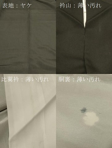 平和屋着物■豪華黒留袖 駒刺繍 エ霞吉祥鳥文 金銀彩 正絹 逸品 CABA2839in