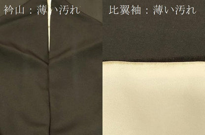 平和屋着物■豪華黒留袖 風景文 金彩 正絹 逸品 CABA2884in