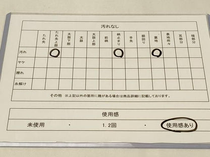 平和屋着物◎六通柄　京袋帯　立波文　金銀糸　正絹　逸品　CABA3084in