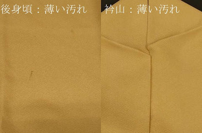 平和屋着物■訪問着　刺繍　地紙草花文　金彩　正絹　逸品　CABA3171in