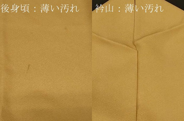 平和屋着物■訪問着　刺繍　地紙草花文　金彩　正絹　逸品　CABA3171in
