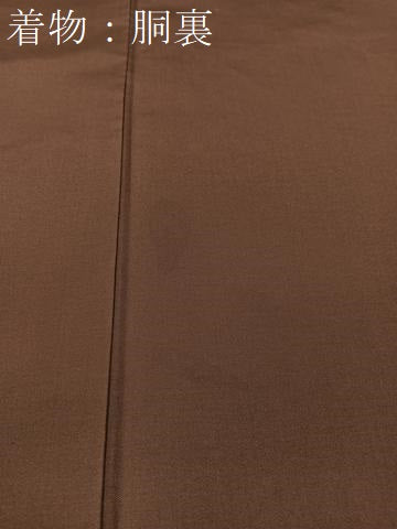 平和屋着物●男性　本場大島紬　アンサンブル　120亀甲　総詰め　正絹　逸品　CABA4660vp