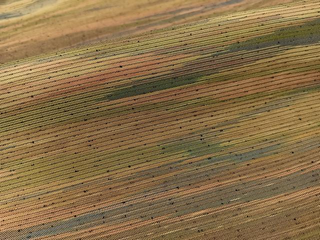 平和屋着物○薩摩結城紬 霞文 正絹 逸品 CABA4664vp