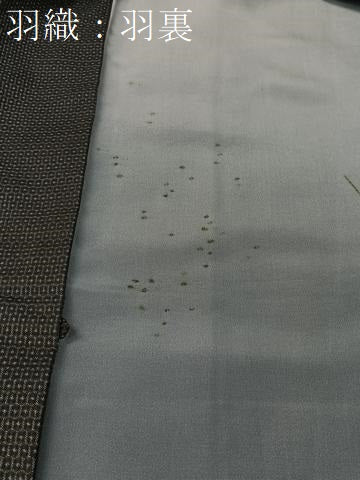 平和屋着物●男性　本場大島紬　アンサンブル　100亀甲　総詰め　正絹　逸品　CABA4672vp