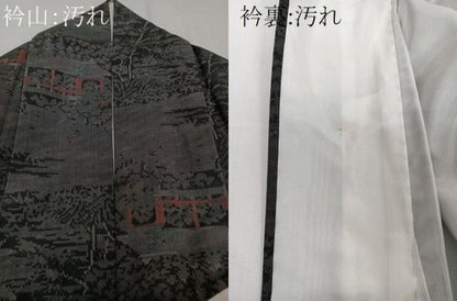 平和屋着物■上質な紬　風景文　黒地　正絹　逸品　CABA5297xi