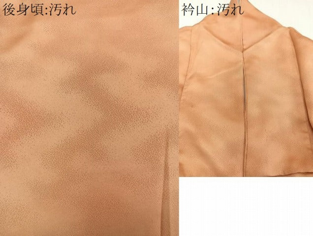 平和屋着物■色留訪問着　流水地紋　暈し染め　正絹　逸品　CABA5550xi