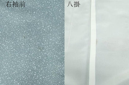 平和屋着物●訪問着　枝花文　たたき染め　金彩　洗える着物　CABA6003vf