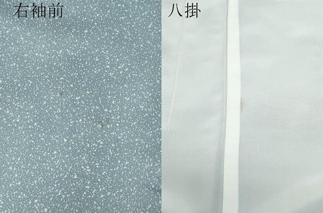 平和屋着物●訪問着　枝花文　たたき染め　金彩　洗える着物　CABA6003vf