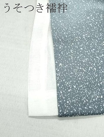 平和屋着物●訪問着　枝花文　たたき染め　金彩　洗える着物　CABA6003vf