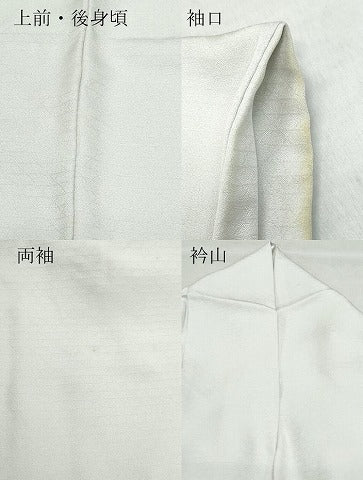 平和屋着物●豪華色留袖　刺繍　吉祥松花文　金彩　正絹　逸品　CABA6051vf