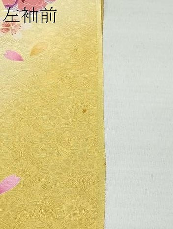 平和屋着物○押切もえ MOE OSHIKIR 振袖 舞蝶花文 金通し地