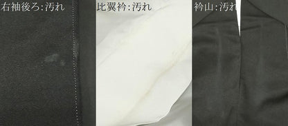 平和屋着物■豪華黒留袖　檜扇尾長鳥花文　金彩　正絹　逸品　CABA7157ev