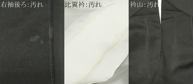 平和屋着物■豪華黒留袖　檜扇尾長鳥花文　金彩　正絹　逸品　CABA7157ev