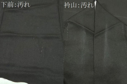 平和屋着物■豪華黒留袖 刺繍 道長桐草花文 金銀彩 正絹 逸品 CABA7207ev