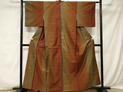 平和屋着物■上質な紬 霞文 正絹 逸品 CABA7436ev