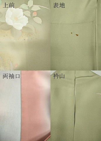 平和屋着物●訪問着　作家物　エ霞枝花文　暈し染め　金彩　正絹　逸品　CABA8036ut