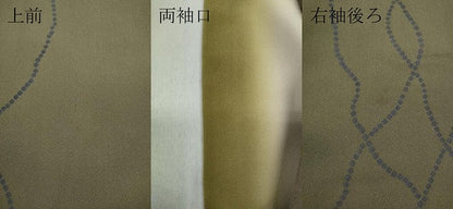 平和屋着物●上質な小紋 葡萄草花文 正絹 逸品 CABA8210ut