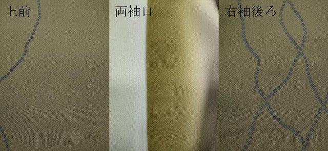 平和屋着物●上質な小紋 葡萄草花文 正絹 逸品 CABA8210ut