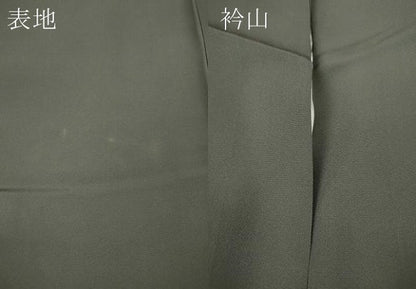 平和屋着物●訪問着　舞花文　金彩　正絹　逸品　CABA8221ut
