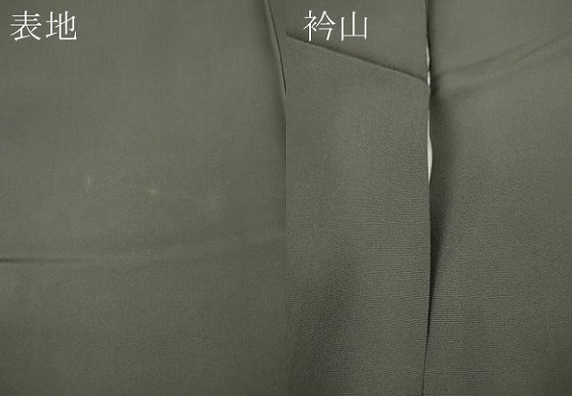 平和屋着物●訪問着　舞花文　金彩　正絹　逸品　CABA8221ut