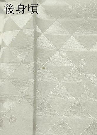 平和屋着物●長襦袢　無双仕立て　手描き　南天文　正絹　逸品　CABA8272ut