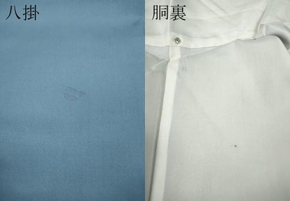 平和屋着物●本場染大島紬　大小あられ　正絹　逸品　CABA8376ut