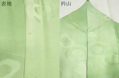 平和屋着物▼上質な小紋　吉祥地紋　暈し染め　正絹　逸品　CABA8646th