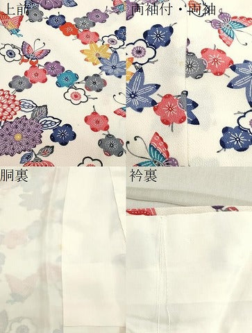 平和屋着物●上質な小紋　紅型　花蝶文　鬼しぼ縮緬　正絹　逸品　CABA8890dy