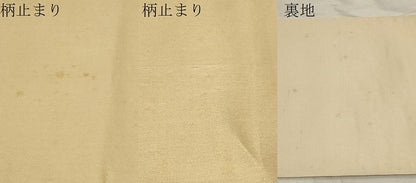 平和屋着物▼六通柄袋帯　唐織　草花文　金銀糸　正絹　逸品　CABA9007dy