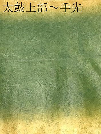 平和屋着物▼西陣　太鼓柄袋帯　籬草花文　創作工芸金彩螺鈿箔　正絹　逸品　CABA9057dy