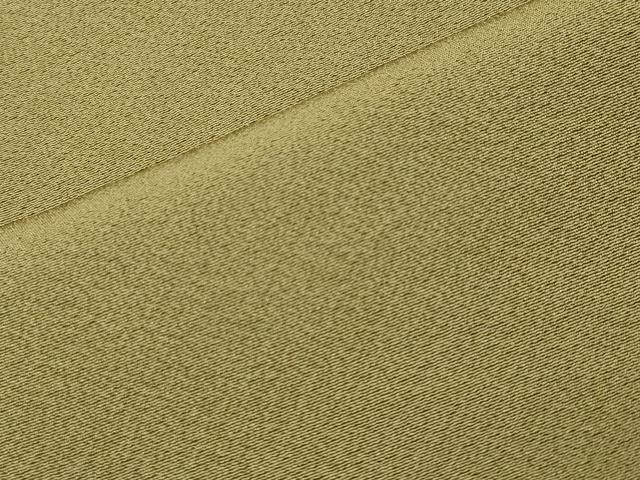 平和屋着物●上質な色無地　根岸色　ゑり正扱い　正絹　逸品　CABA9646gh