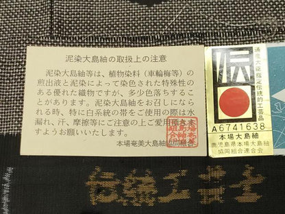 平和屋着物●本場大島紬　9マルキ　泥染め　有栖川文様　岸田恵光作　ますいわ屋扱い　証紙付き　正絹　逸品　CABA9687gh