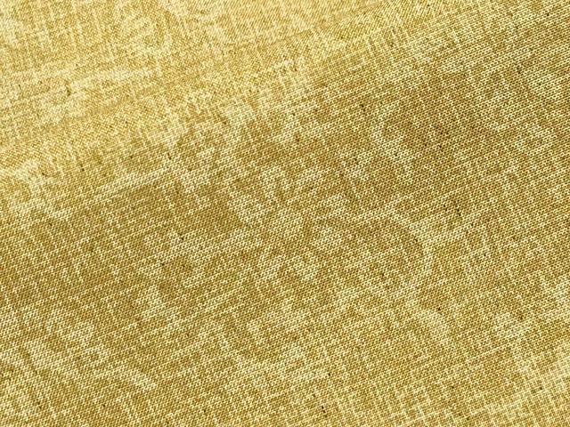 平和屋着物●上質な紬　鳳凰花唐草文　正絹　逸品　CABA9795gh