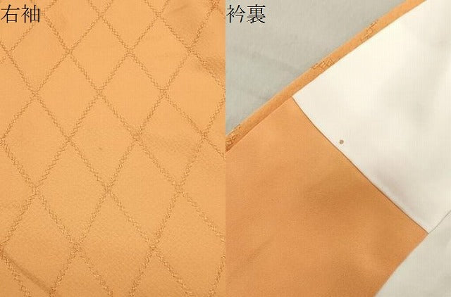 平和屋着物●上質な色無地 総刺繍 菱文 柑子色 正絹 逸品 未使用 CABA9888gh