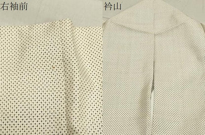 平和屋着物●訪問着 本場大島紬 白大島 作家物 手描き 流水草木文 暈し染め 正絹 逸品 CABB0020gh