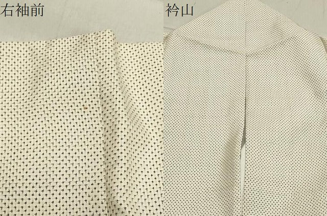 平和屋着物●訪問着 本場大島紬 白大島 作家物 手描き 流水草木文 暈し染め 正絹 逸品 CABB0020gh