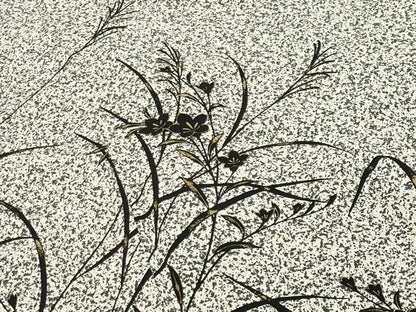 平和屋着物●訪問着 作家物 草花文 たたき染め 黒地 金彩 正絹 逸品 CABB0069gh