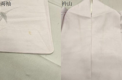 平和屋着物＊夏物 訪問着 絽 手描き 杜若 正絹 逸品 CABB0135gh