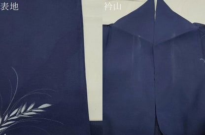平和屋着物＊夏物 訪問着 絽 手描き 草花文 金彩 正絹 逸品 CABB0141gh